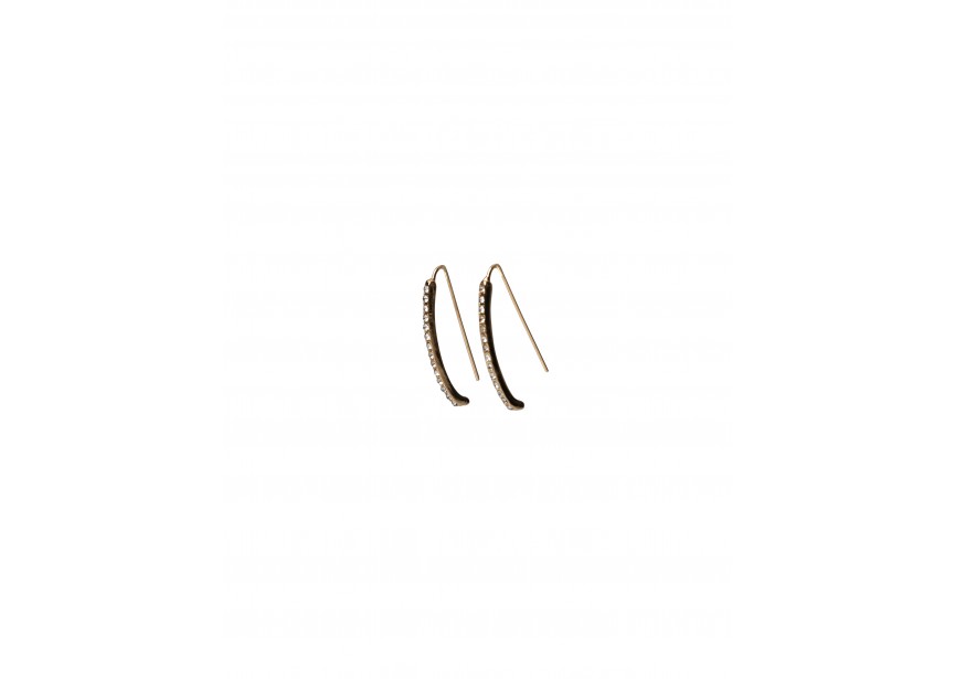 Hook earring strass 30x2mm transparant/gold